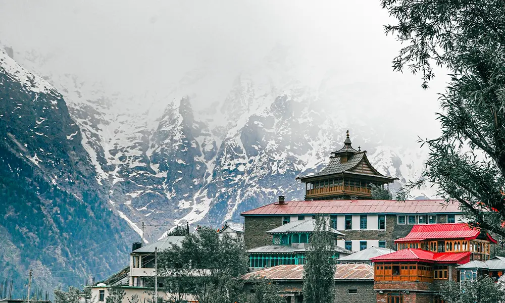 top hotels in manali
